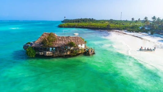 Zanzibar: Jozani Forest Guided Tour and The Rock Restaurant Excursion