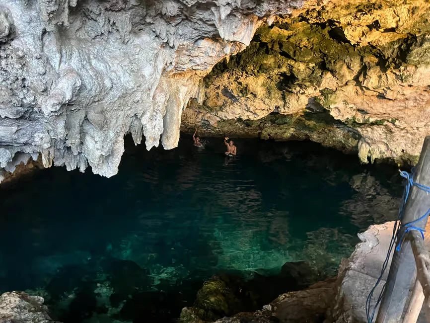 Zanzibar: Jozani Forest, Maalum Cave and The Rock Restaurant Tour from Nungwi