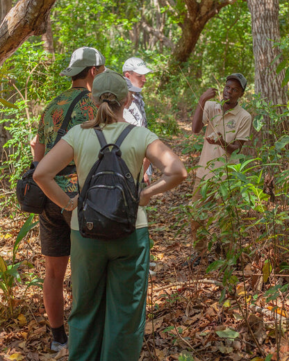 Zanzibar: Jozani Forest Tour with Hotel Pickup and Guided Nature Walk