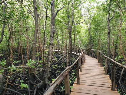 Zanzibar: Jozani Forest Tour with Hotel Pickup and Guided Nature Walk