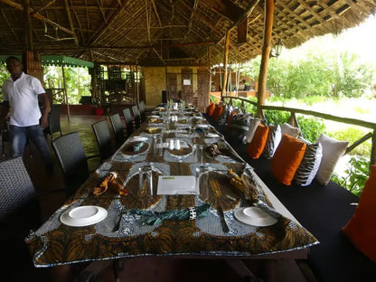 Zanzibar: Matemwe Dolphin Encounter, Jozani Forest, and Swahili Buffet Tour