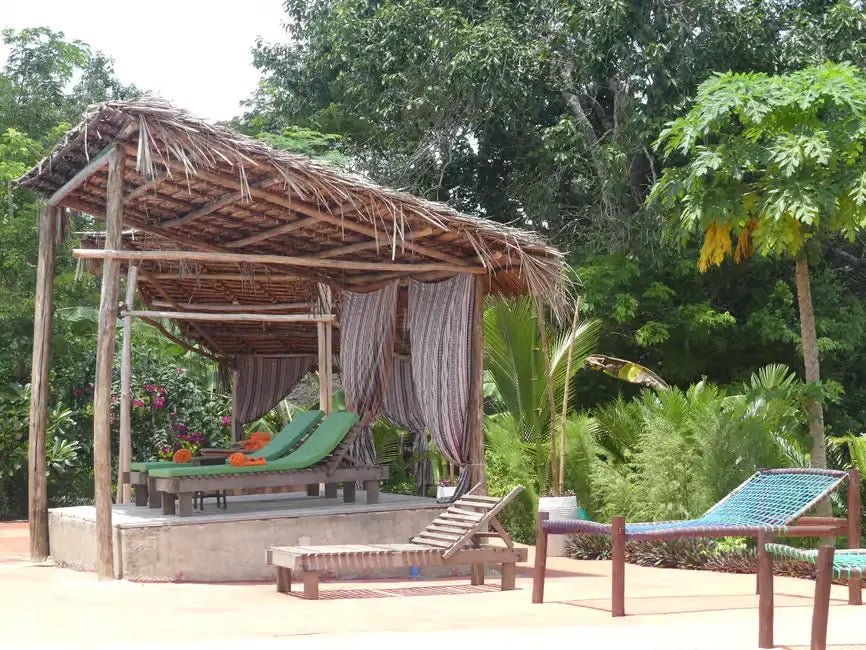 Zanzibar: Matemwe Dolphin Encounter, Jozani Forest, and Swahili Buffet Tour