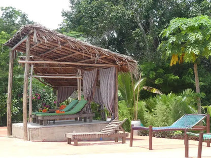 Zanzibar: Matemwe Dolphin Encounter, Jozani Forest, and Swahili Buffet Tour