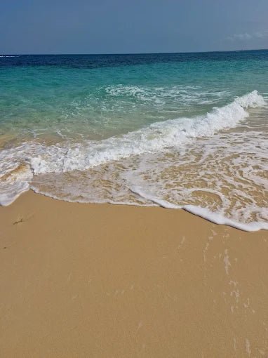 Zanzibar: Menai Bay Dhow Cruise with Snorkeling, Sandbank and Lagoon Tour