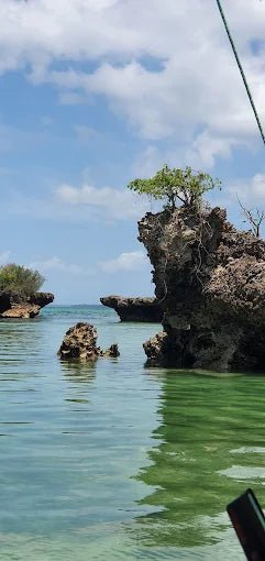 Zanzibar: Menai Bay Dhow Cruise with Snorkeling, Sandbank and Lagoon Tour