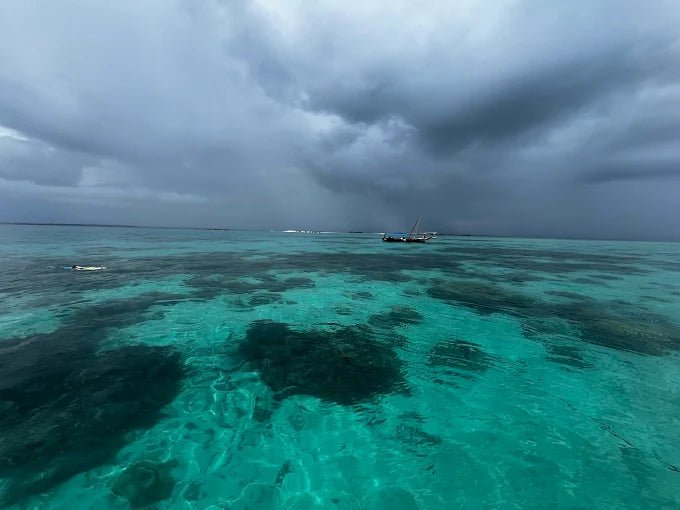 Zanzibar: Menai Bay Dhow Cruise with Snorkeling, Sandbank and Lagoon Tour