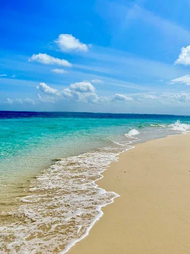Zanzibar: Menai Bay Dhow Cruise with Snorkeling, Sandbank and Lagoon Tour