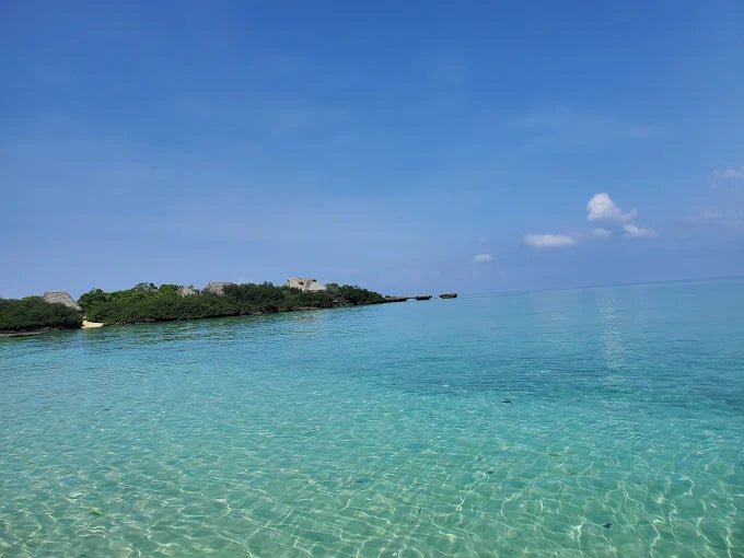 Zanzibar: Menai Bay Dhow Cruise with Snorkeling, Sandbank and Lagoon Tour