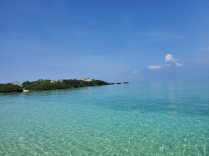 Zanzibar: Menai Bay Dhow Cruise with Snorkeling, Sandbank and Lagoon Tour