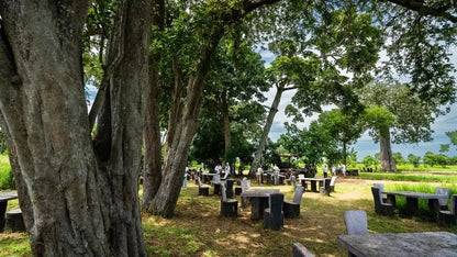 Zanzibar: Mikumi National Park Day Safari with Flights and Bush Lunch