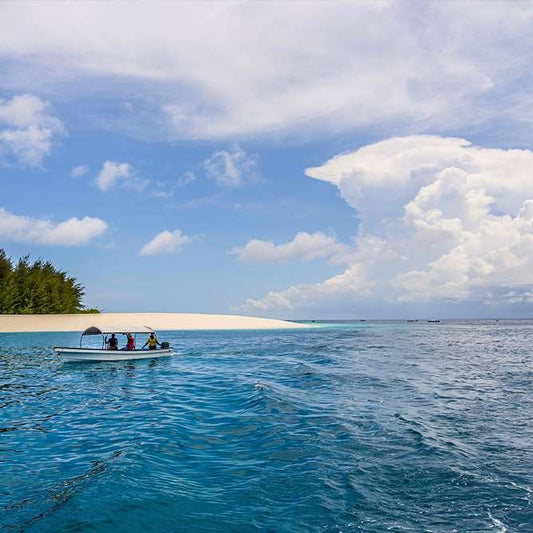 Zanzibar: Mnemba Atoll Dolphin Watching and Snorkeling Tour from Nungwi