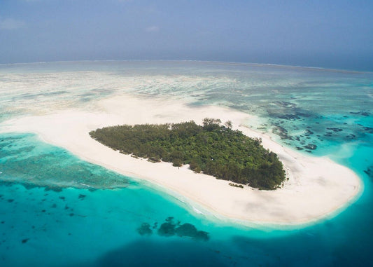 Zanzibar: Mnemba Atoll Marine Reserve Snorkeling Tour with Hotel Pickup