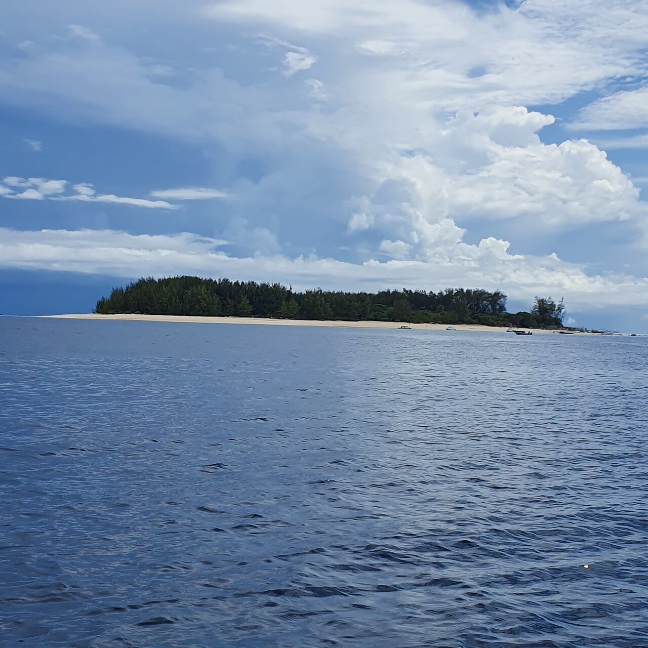 Zanzibar: Mnemba Atoll Marine Reserve Snorkeling Tour with Hotel Pickup