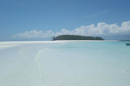 Zanzibar: Mnemba Atoll Marine Reserve Snorkeling Tour with Hotel Pickup