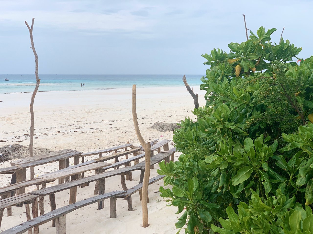Zanzibar: Mnemba Atoll Marine Reserve Snorkeling Tour with Hotel Pickup
