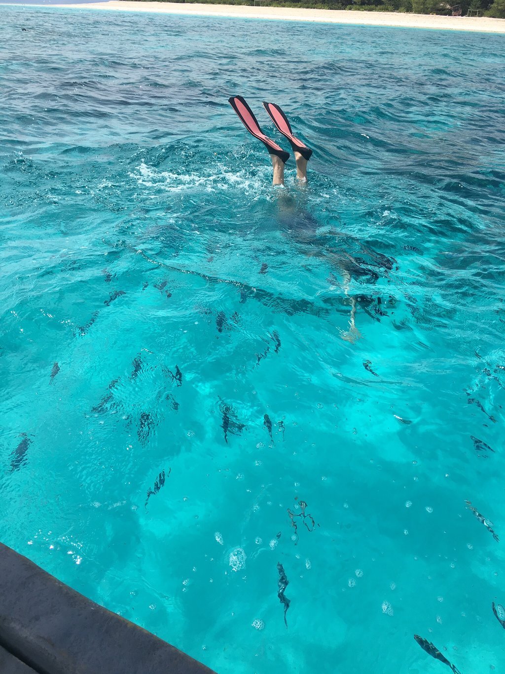 Zanzibar: Mnemba Atoll Marine Reserve Snorkeling Tour with Hotel Pickup
