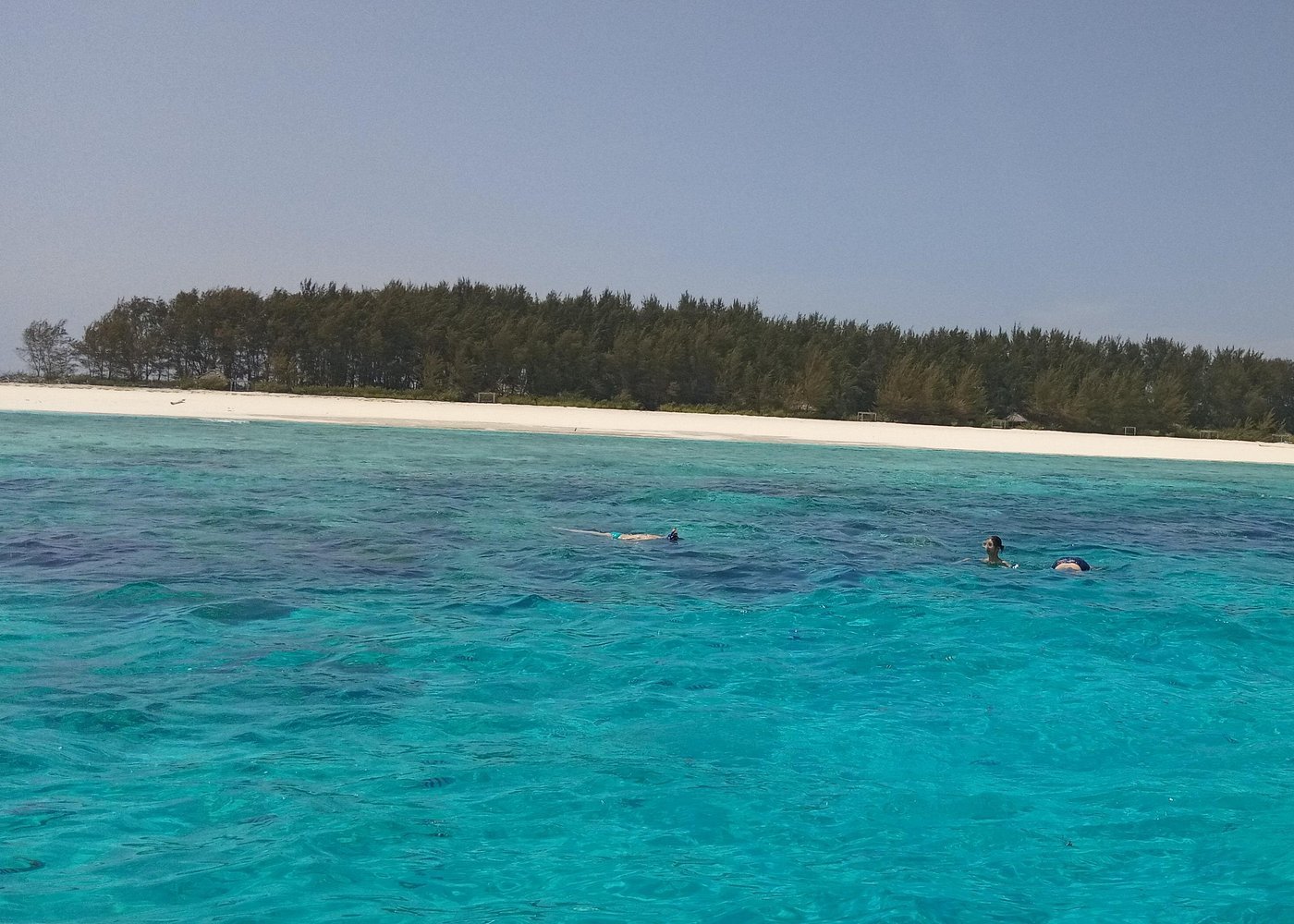 Zanzibar: Mnemba Atoll Marine Reserve Snorkeling Tour with Hotel Pickup