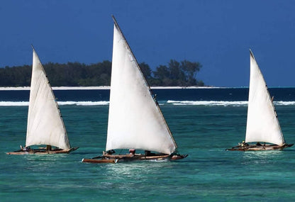 Zanzibar: Mnemba Atoll Marine Reserve Snorkeling Tour with Hotel Pickup