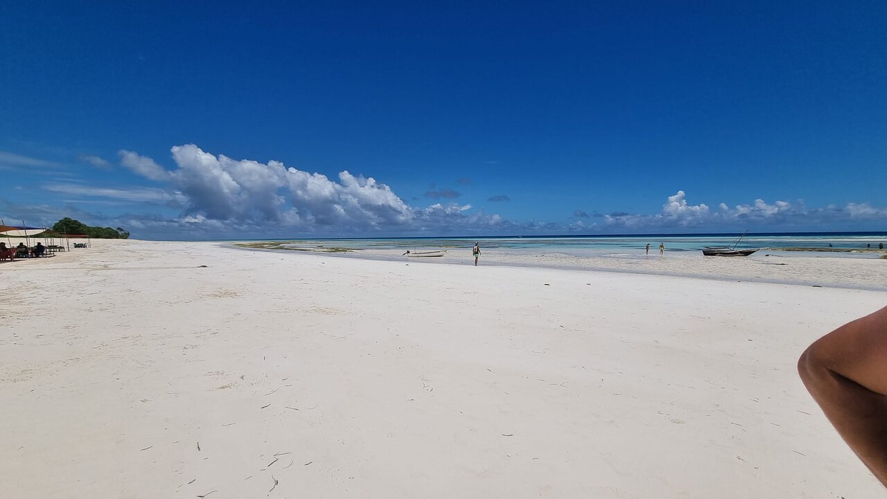Zanzibar: Mnemba Atoll Marine Reserve Snorkeling Tour with Hotel Pickup