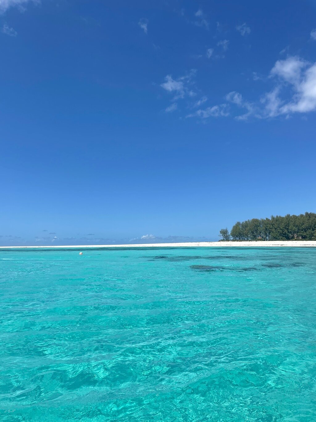 Zanzibar: Mnemba Atoll Marine Reserve Snorkeling Tour with Hotel Pickup