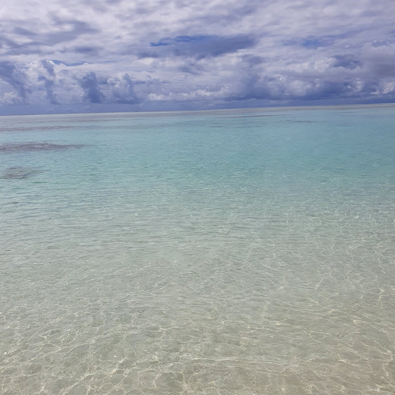 Zanzibar: Mnemba Atoll Marine Reserve Snorkeling Tour with Hotel Pickup
