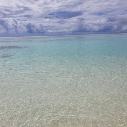 Zanzibar: Mnemba Atoll Marine Reserve Snorkeling Tour with Hotel Pickup