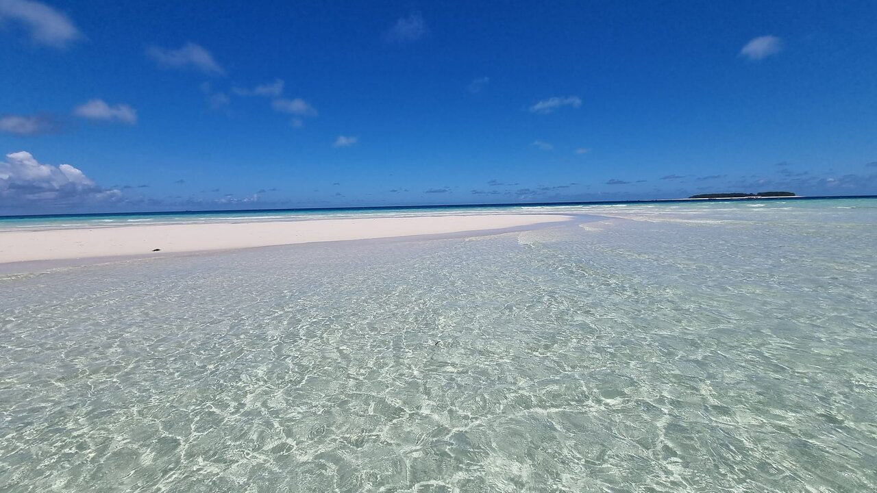 Zanzibar: Mnemba Atoll Marine Reserve Snorkeling Tour with Hotel Pickup