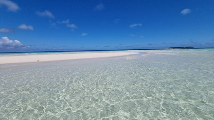 Zanzibar: Mnemba Atoll Marine Reserve Snorkeling Tour with Hotel Pickup