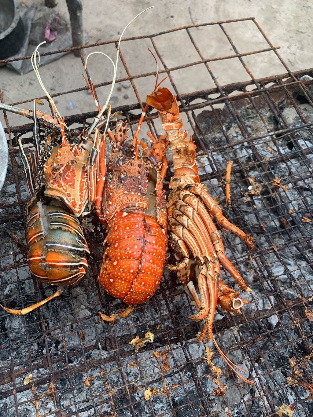 Zanzibar: Mnemba Atoll Marine Reserve Snorkeling Tour with Hotel Pickup