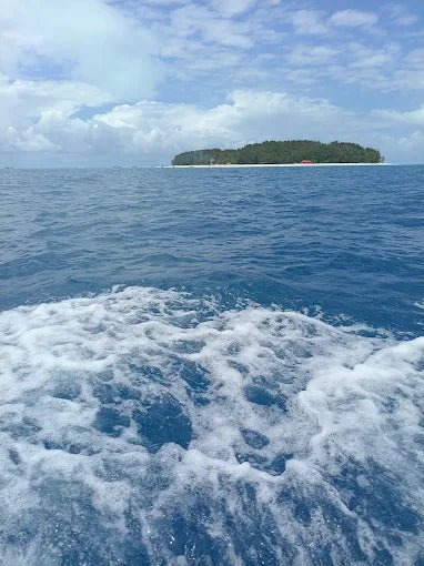 Zanzibar: Mnemba Atoll Snorkeling Tour with Dolphin Spotting and Lunch