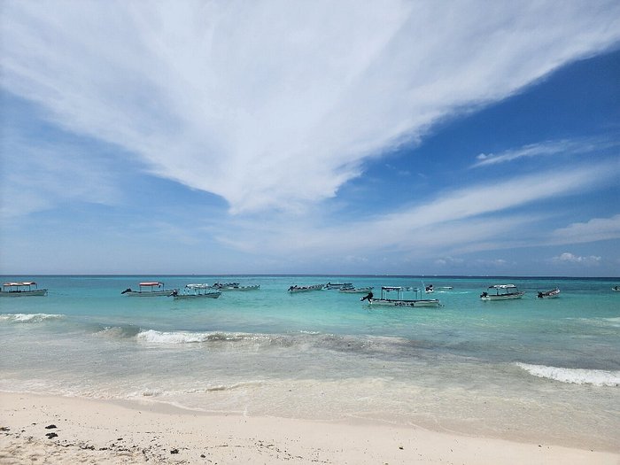 Zanzibar: Mnemba Atoll Snorkeling Tour with Dolphins and Sea Turtles
