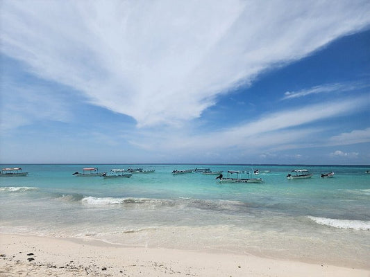 Zanzibar: Mnemba Atoll Snorkeling Tour with Dolphins and Sea Turtles