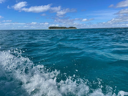 Zanzibar: Mnemba Atoll Snorkeling Tour with Dolphins and Sea Turtles