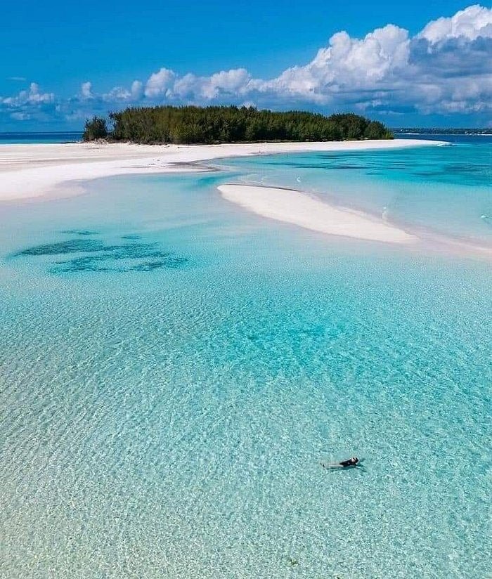 Zanzibar: Mnemba Atoll Snorkeling Tour with Dolphins and Sea Turtles