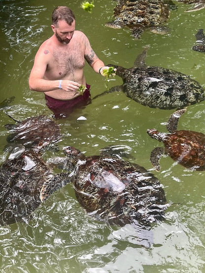 Zanzibar: Mnemba Atoll Snorkeling Tour with Dolphins and Sea Turtles