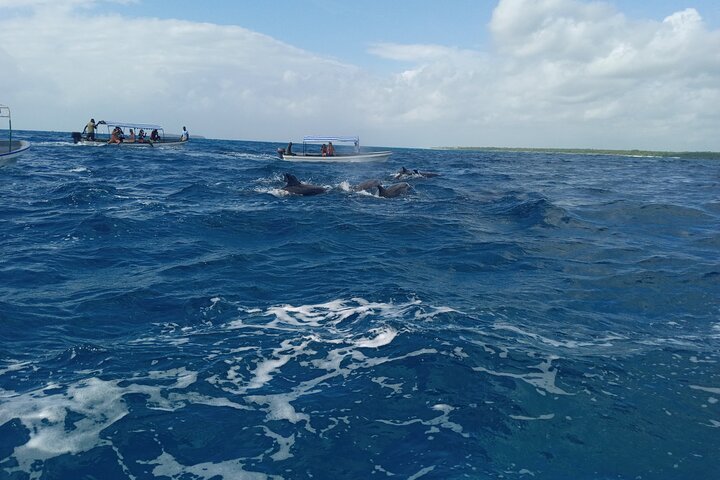 Zanzibar: Mnemba Atoll Snorkeling Tour with Dolphins and Sea Turtles