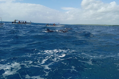 Zanzibar: Mnemba Atoll Snorkeling Tour with Dolphins and Sea Turtles