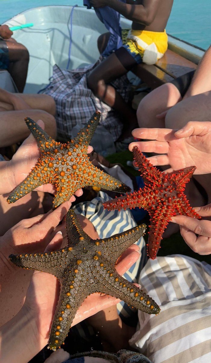 Zanzibar: Mnemba Atoll Snorkeling Tour with Dolphins and Sea Turtles