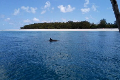 Zanzibar: Mnemba Atoll Snorkeling Tour with Dolphins and Sea Turtles