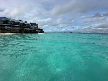 Zanzibar: Mnemba Atoll Snorkeling Tour with Dolphins and Sea Turtles