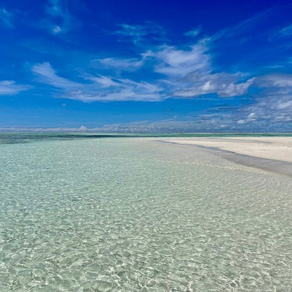 Zanzibar: Mnemba Atoll Snorkeling Tour with Dolphins and Sea Turtles