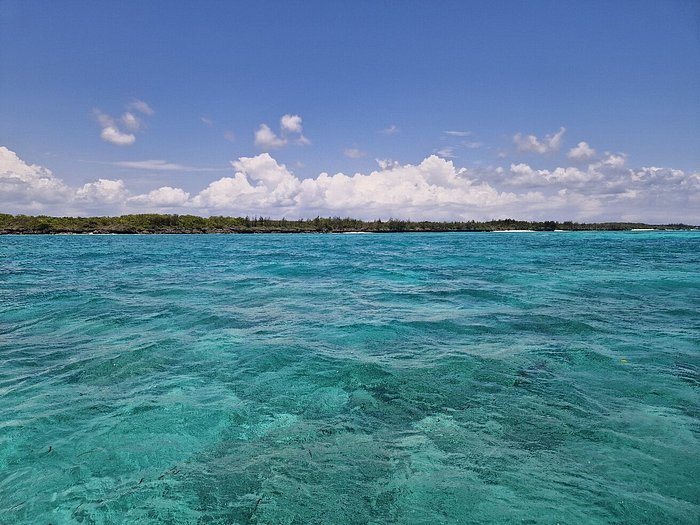 Zanzibar: Mnemba Atoll Snorkeling Tour with Dolphins and Sea Turtles