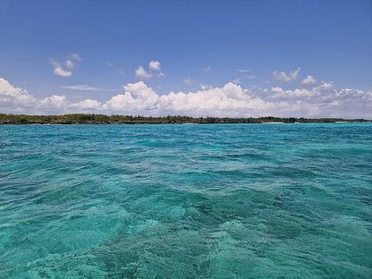Zanzibar: Mnemba Atoll Snorkeling Tour with Dolphins and Sea Turtles