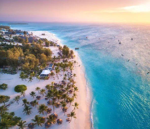 Zanzibar: Mnemba Boat Trip and Dolphin Snorkel Tour from Nungwi