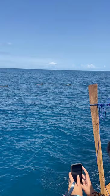 Zanzibar: Mnemba Island and Dolphin Snorkeling Boat Tour from Matemwe