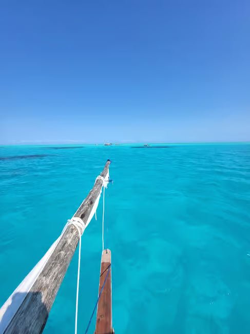 Zanzibar: Mnemba Island and Dolphin Snorkeling Boat Tour from Matemwe