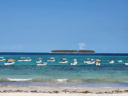Zanzibar: Mnemba Island Boat Tour with Snorkeling and Optional Lunch