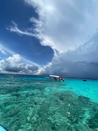 Zanzibar: Mnemba Island Dolphin and Snorkeling Boat Tour with Hotel Pickup
