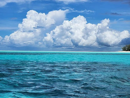 Zanzibar: Mnemba Island Dolphin and Snorkeling Boat Tour with Hotel Pickup