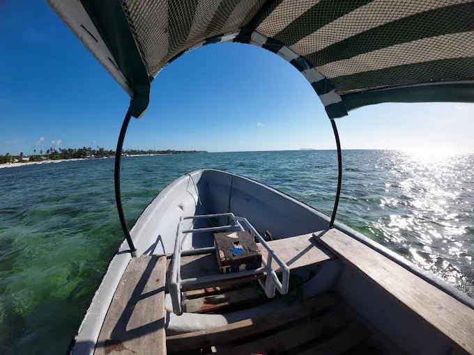 Zanzibar: Mnemba Island Dolphin and Snorkeling Boat Tour with Hotel Pickup